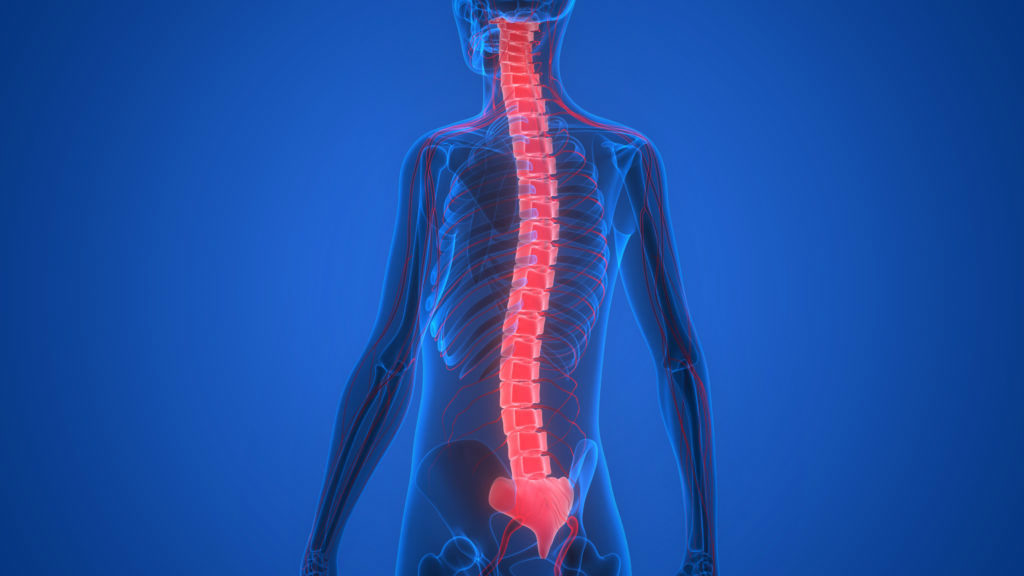 Spinal Cord Injuries | Medical Malpractice